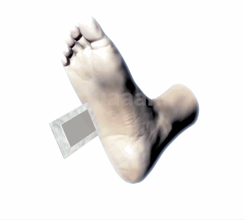 RevitaPatch-Plasturi Detoxifiere